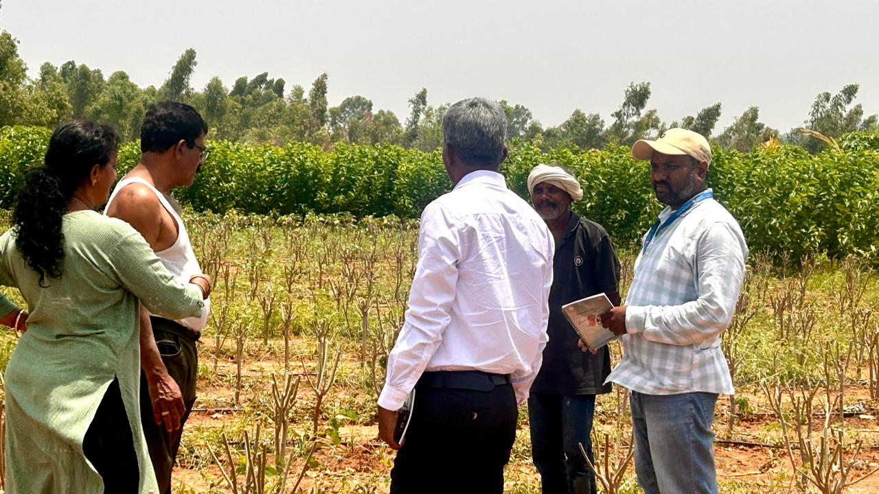Disease Monitoring Photo 4